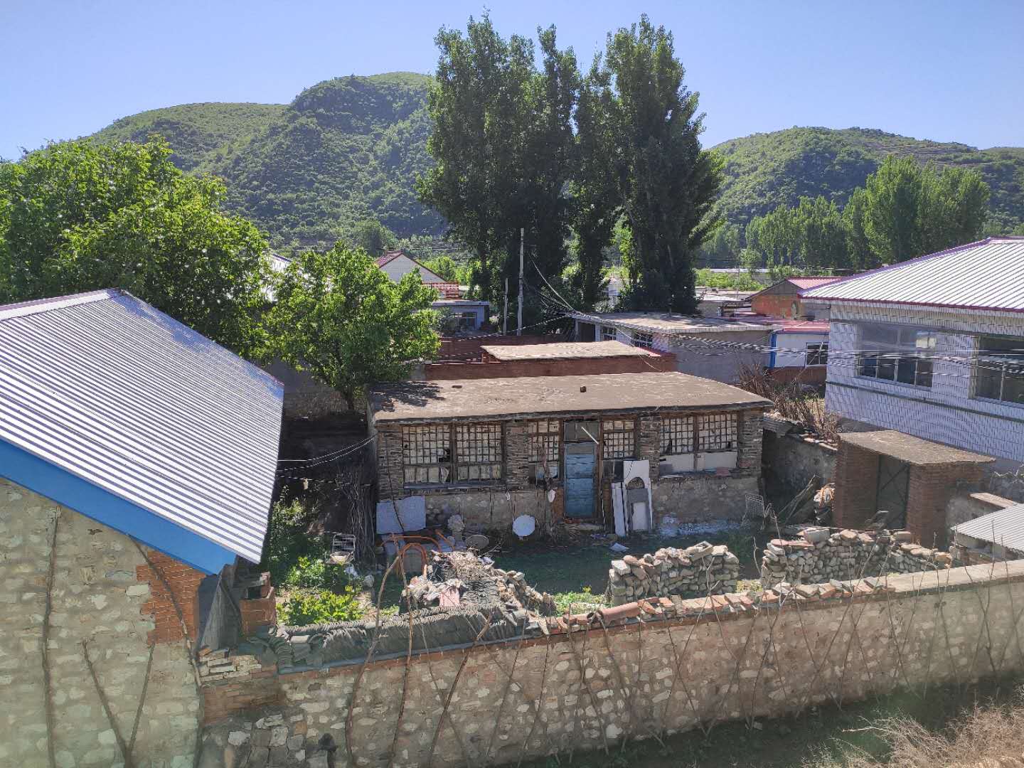 5cee21dd481ca.jpg
